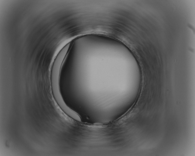 X0000091721200200709210954