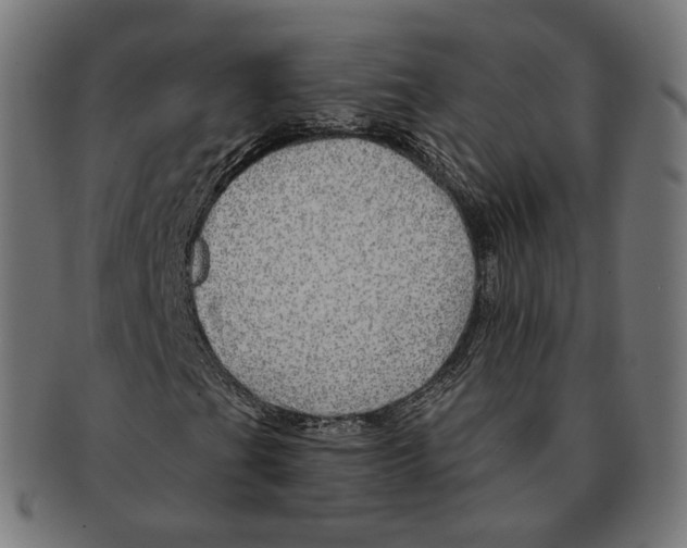 X0000091721201200709210954