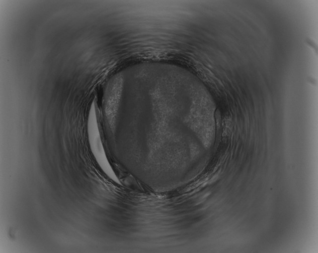 X0000091721202200709210954