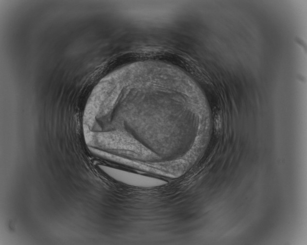 X0000091721204200709210954