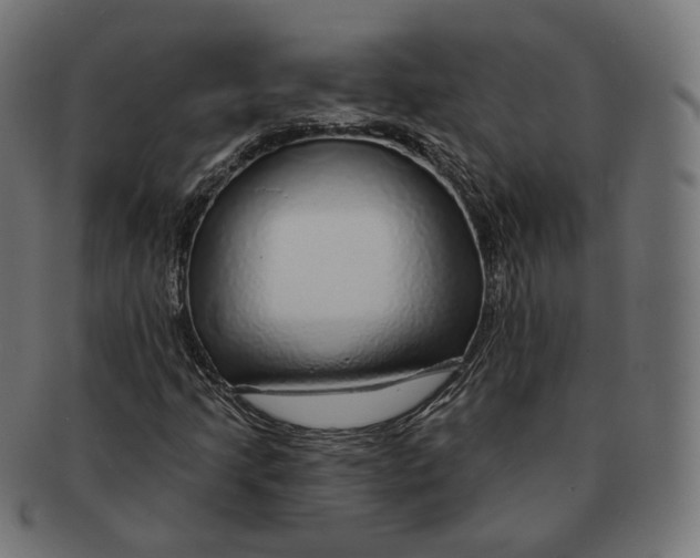 X0000091721205200709210954