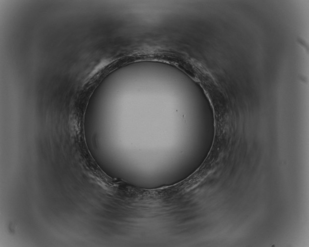 X0000091721206200709210954