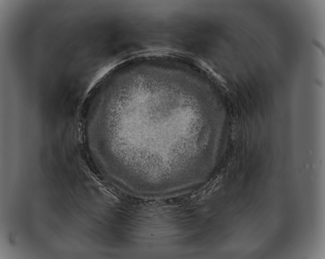 X0000091721208200709210954