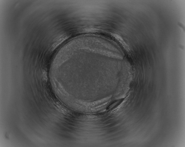 X0000091721209200709210954