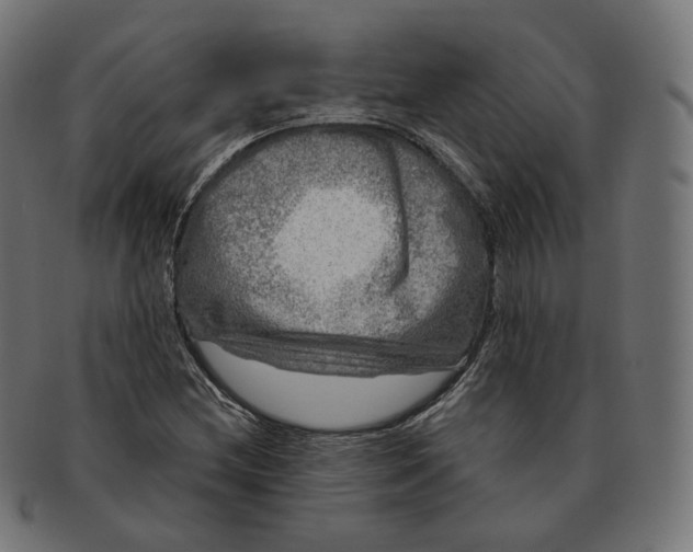 X0000091721212200709210954