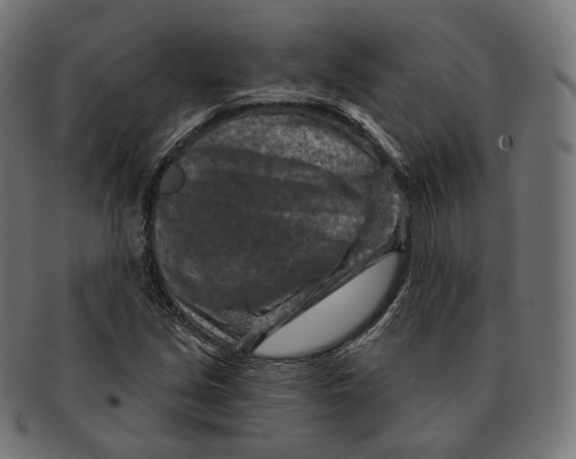 X0000091721213200709210954