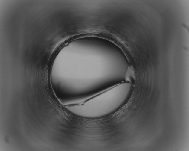 X0000091721214200709210954