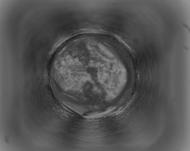 X0000091721215200709210954