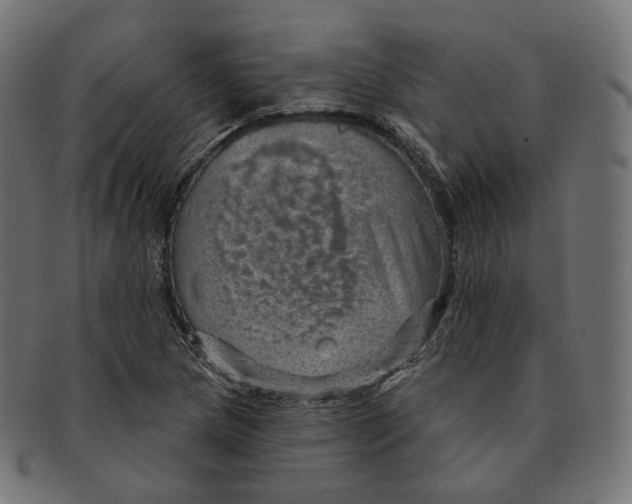 X0000091721217200709210954