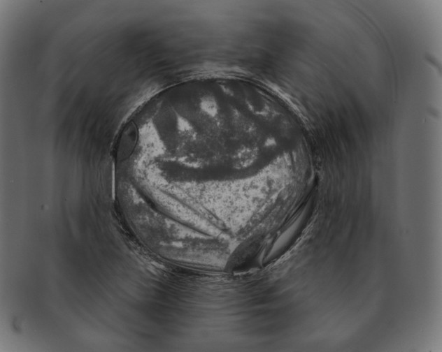 X0000091721219200709210954