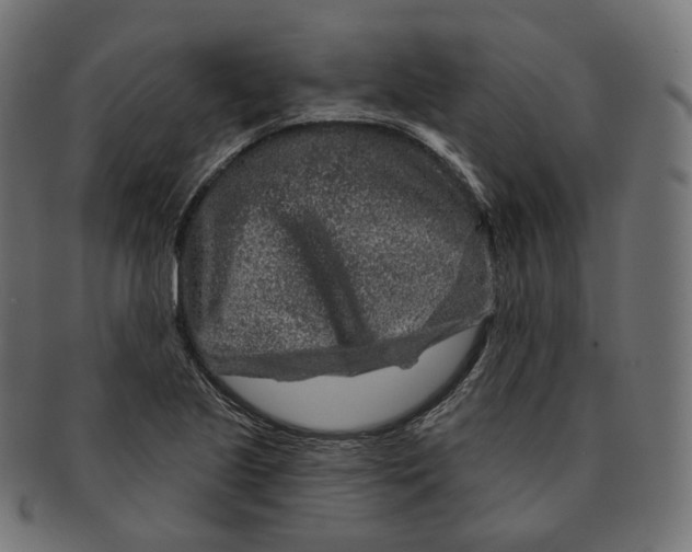 X0000091721221200709210954