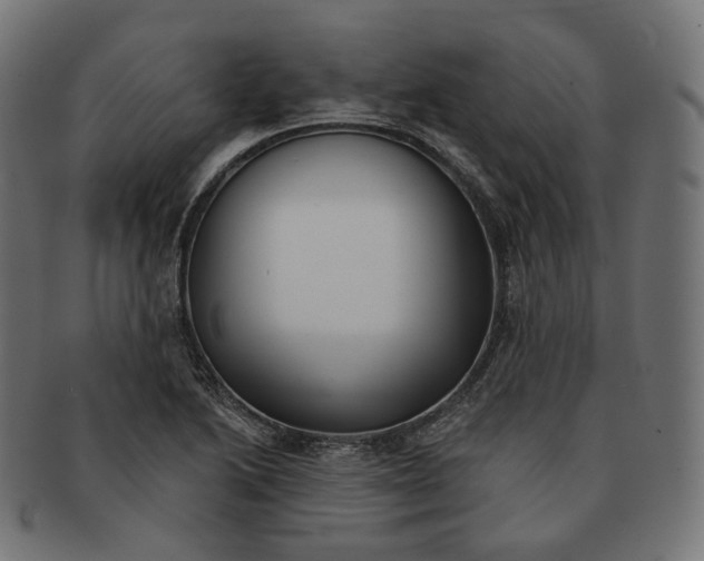 X0000091721222200709210954