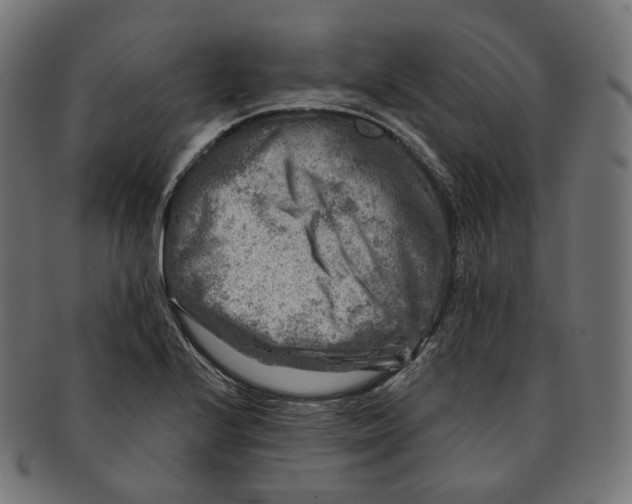 X0000091721224200709210954