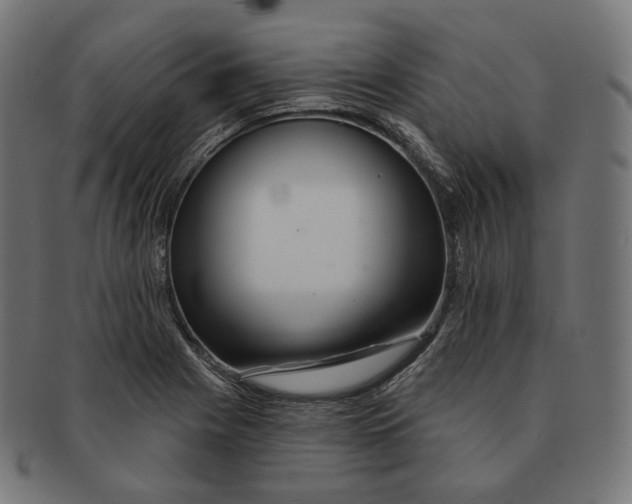 X0000091721225200709210954