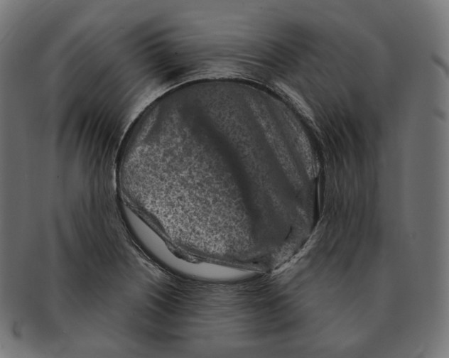 X0000091721226200709210954