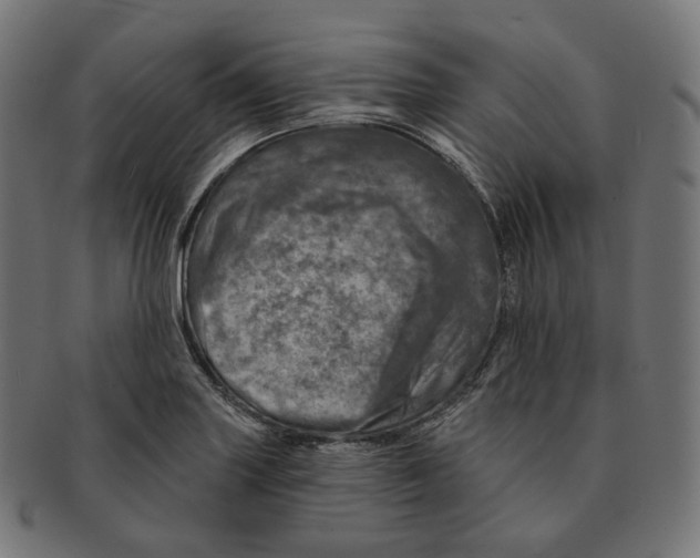 X0000091721227200709210954