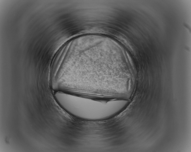 X0000091721228200709210954