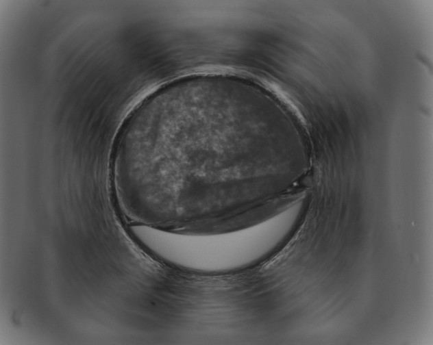 X0000091721229200709210954