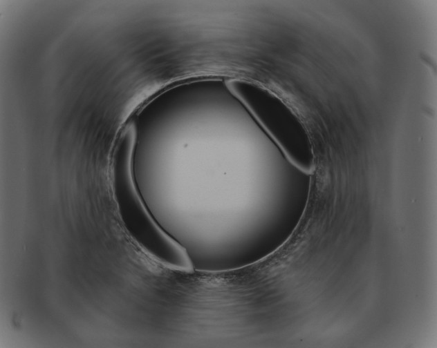 X0000091721230200709210954