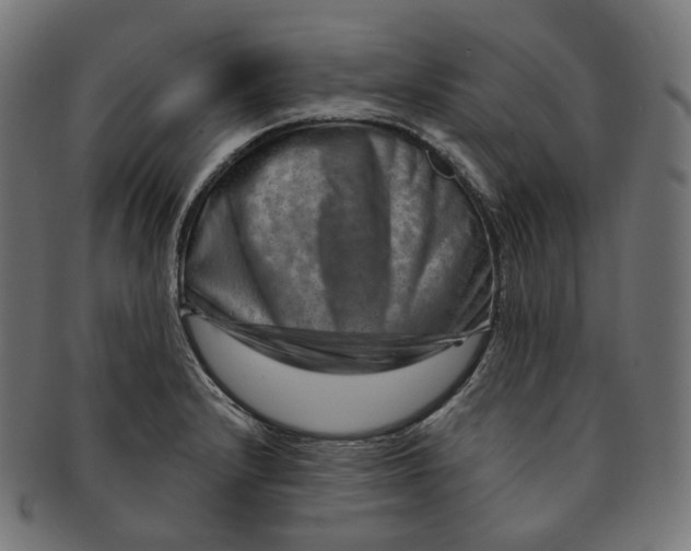 X0000091721232200709210954