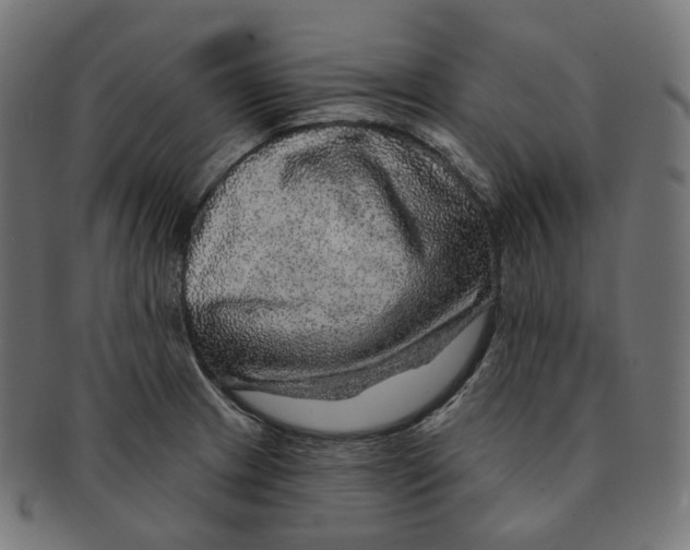 X0000091721233200709210954