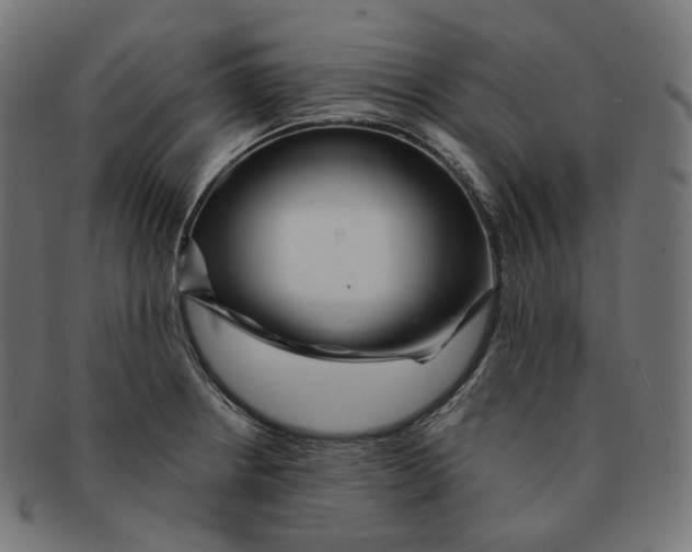 X0000091721234200709210954