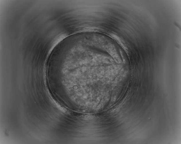 X0000091721235200709210954