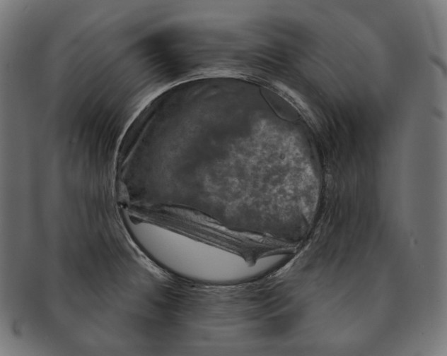 X0000091721236200709210954