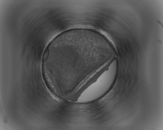 X0000091721237200709210954