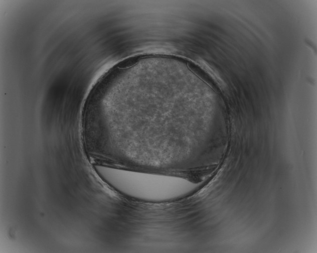 X0000091721240200709210954