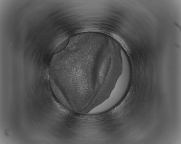 X0000091721241200709210954