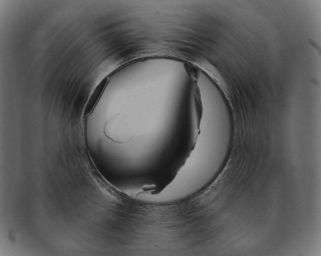 X0000091721242200709210954