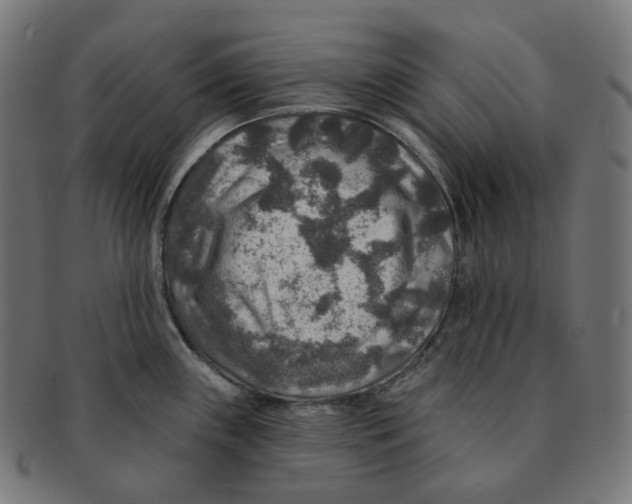 X0000091721243200709210954