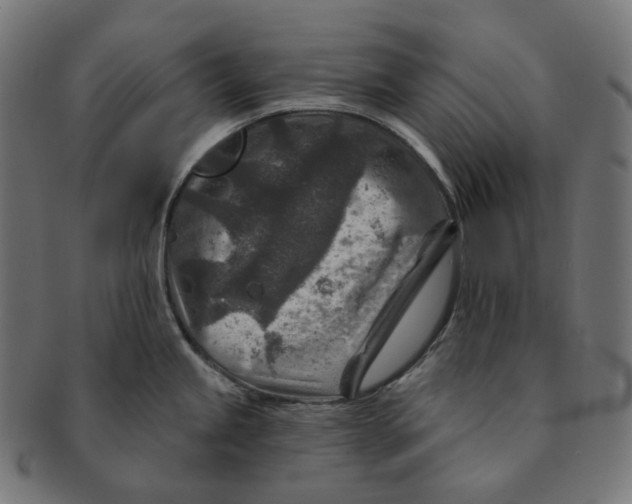 X0000091721245200709210954