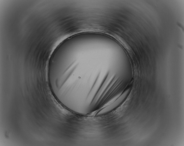 X0000091721246200709210954