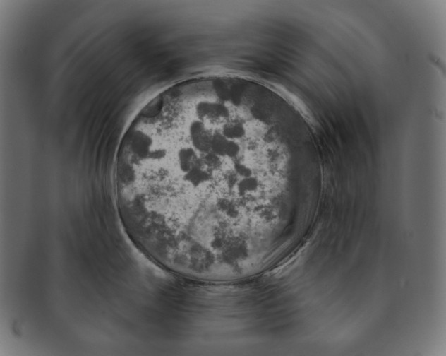 X0000091721247200709210954