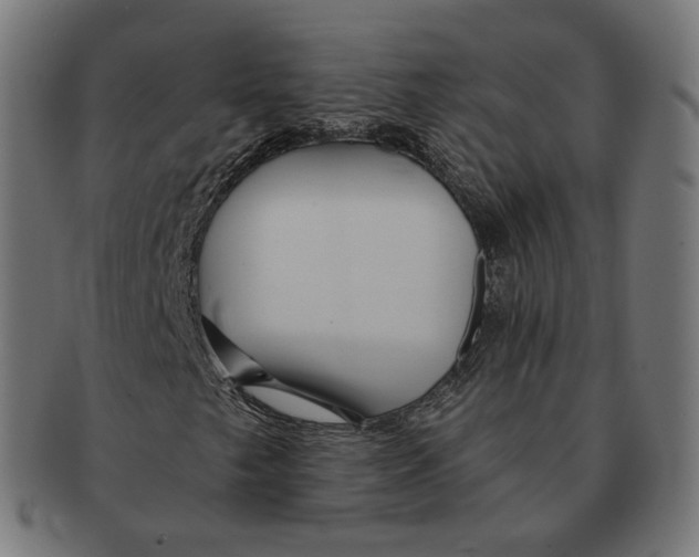 X0000091721249200709210954