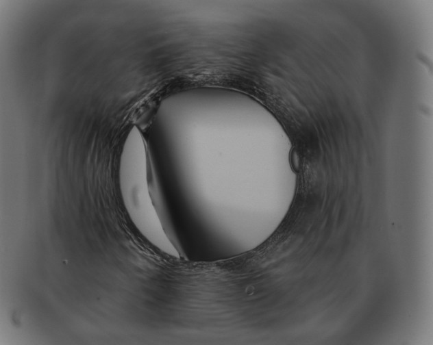 X0000091721250200709210954