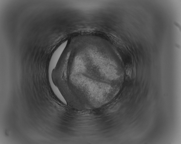 X0000091721252200709210954