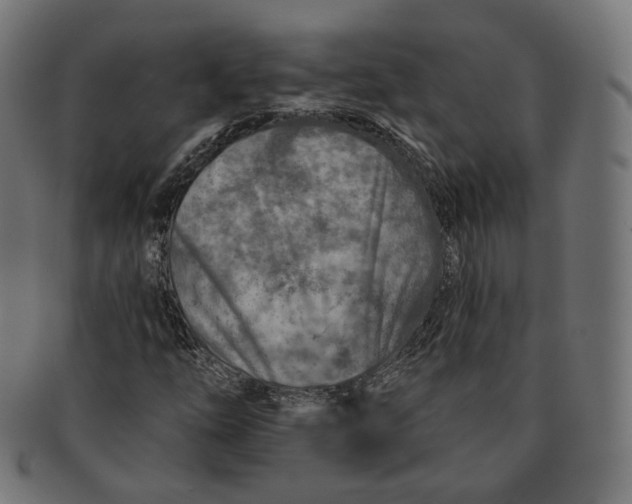 X0000091721254200709210954