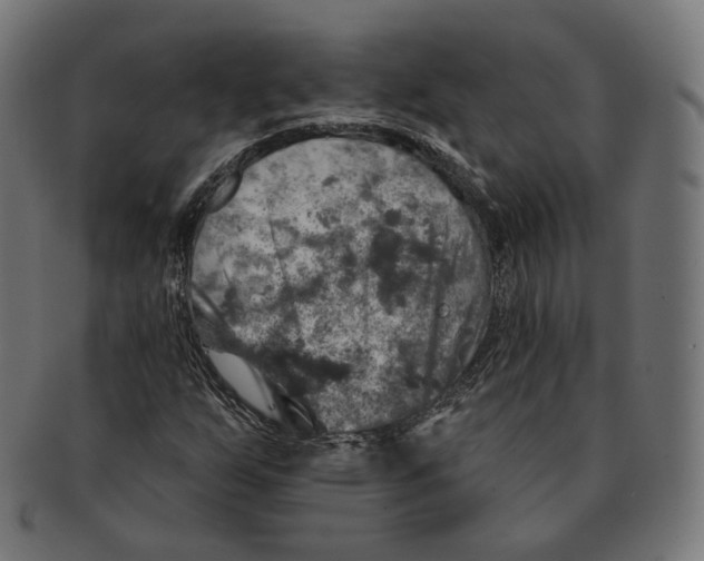 X0000091721255200709210954