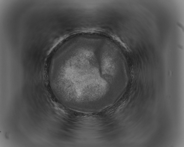 X0000091721256200709210954