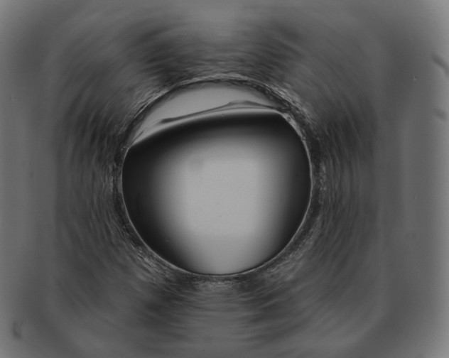 X0000091721257200709210954