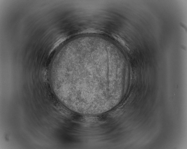 X0000091721258200709210954