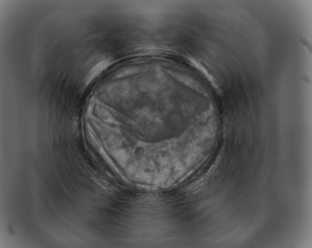 X0000091721259200709210954