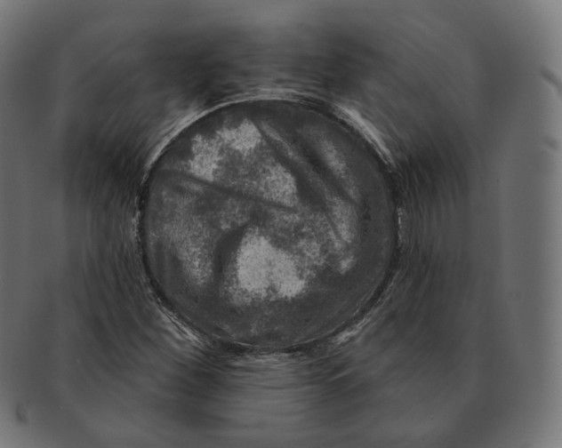 X0000091721260200709210954