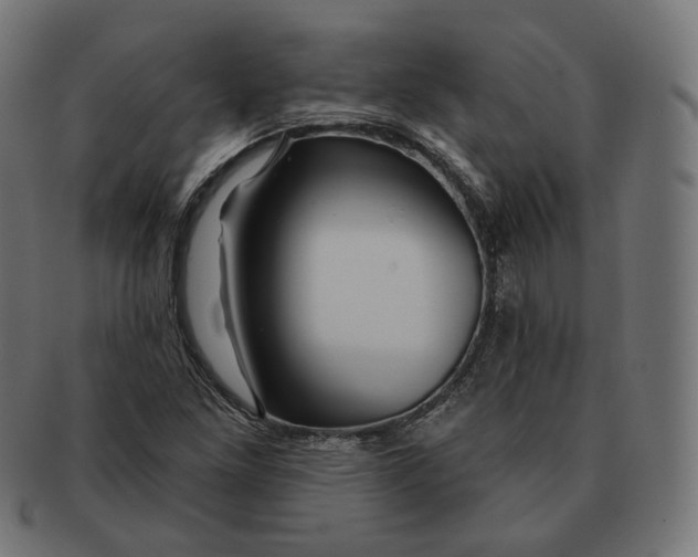 X0000091721261200709210954