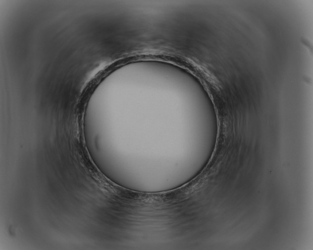 X0000091721262200709210954