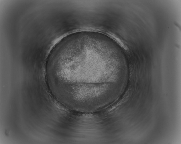 X0000091721264200709210954