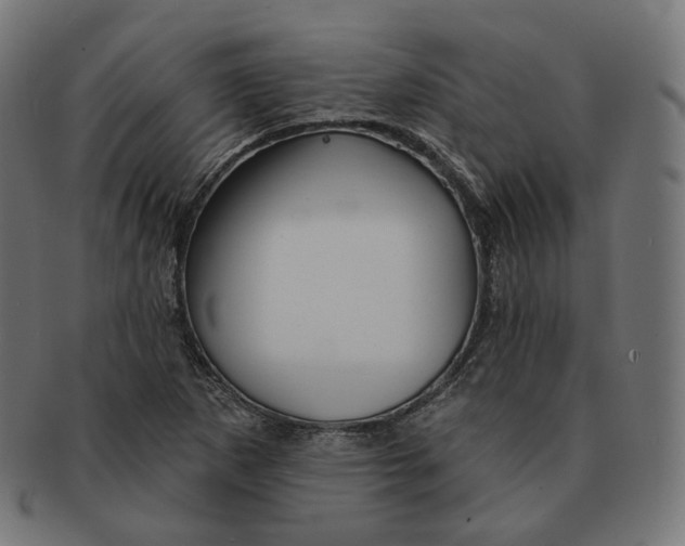 X0000091721265200709210954